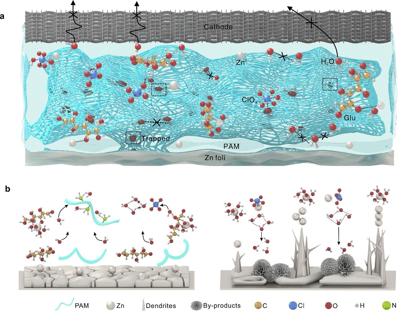 Scientists Develop All Climate Zinc Ion Batteries With New Hydrogel