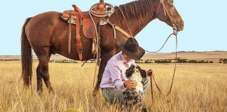 Dog and horse