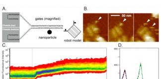 nanoscale robots