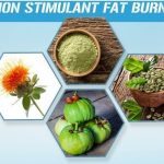 5 most popular fat burner supplements for weight loss success