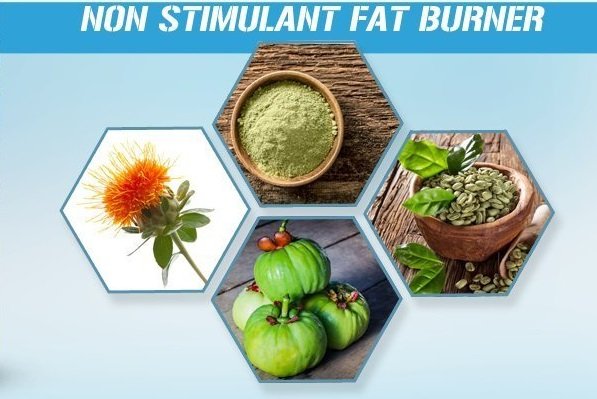 5 most popular fat burner supplements for weight loss success