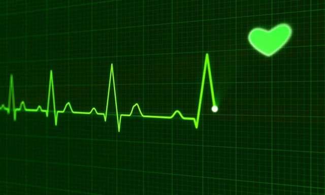 Scientists discover new genes for heart function