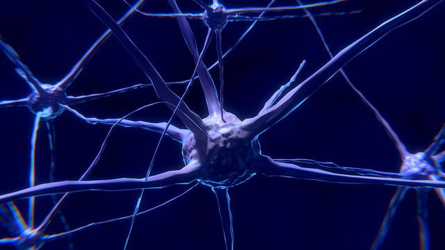 Traffic jams in brain cells may cause Alzheimer’s