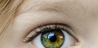 Scientists detect Alzheimer’s disease from eyes