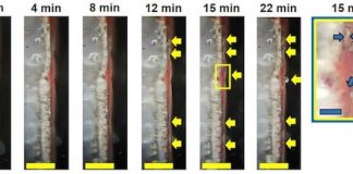 Big step toward powerful, rechargeable lithium metal batteries