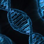 Ancient DNA shows no human population is pure