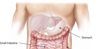 Colon cancer screening and prevention- What you should know