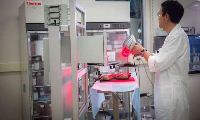 New mobile bedside bioprinter could help heal wounds