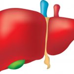 New way to predict fatty liver disease