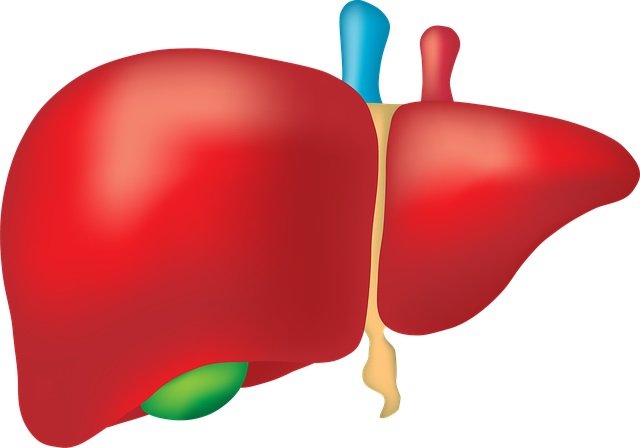 New way to predict fatty liver disease