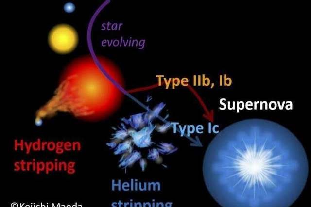 Supernovae may release hydrogen to companion star before explosion
