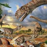 World's oldest dinosaur eggs reveal new information about dinosaur evolution