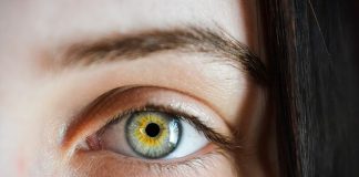 Your eyes could signal blood vessel disease in your legs