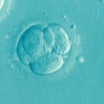 7 things doctors want you know about infertility