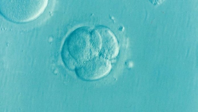 7 things doctors want you know about infertility