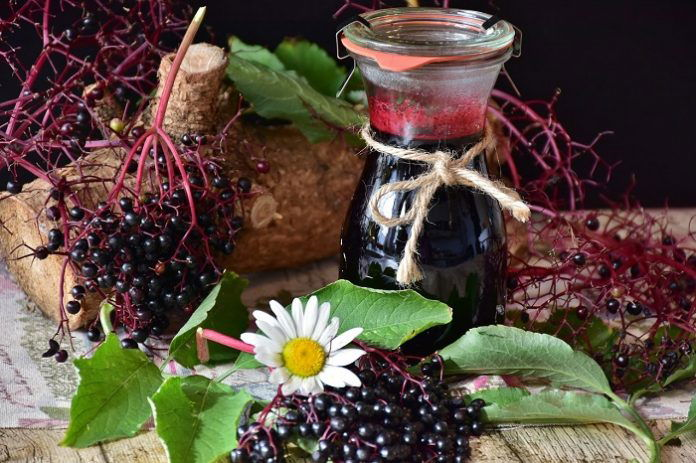 Elderberries may help reduce flu