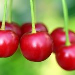 Montmorency cherry juice could help reduce blood pressure effectively