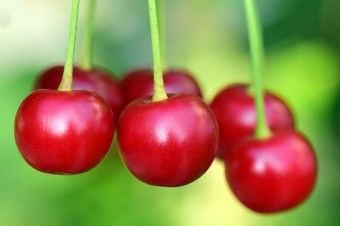 Montmorency cherry juice could help reduce blood pressure effectively