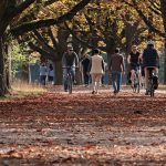 One hour of walking every week may cut disability