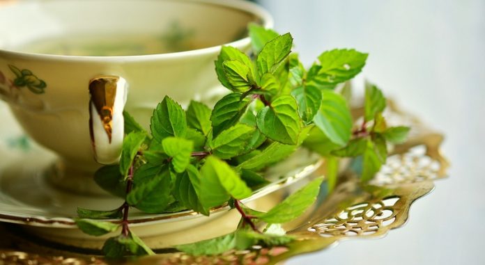 Peppermint may help reduce chest pain