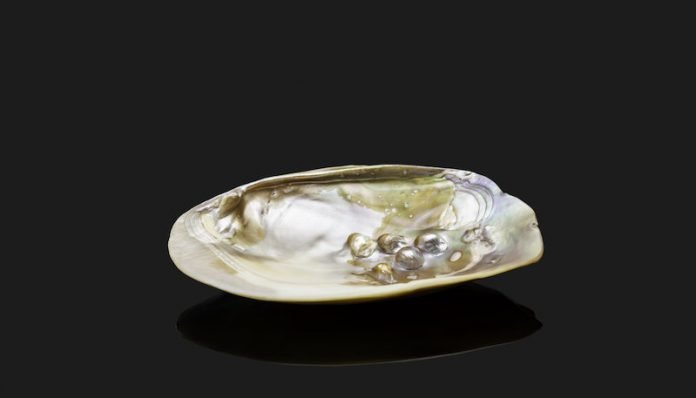 Scientists create artificial mother-of-pearl with bacteria