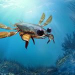 Scientists discover a 95-million-year-old crab species