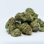 Benefits and harms of legal marijuana you should know
