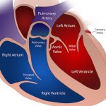 Common drug for arthritis may harm your heart health