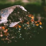 Scientists discover healthy, inflammation-busting fat in dirt