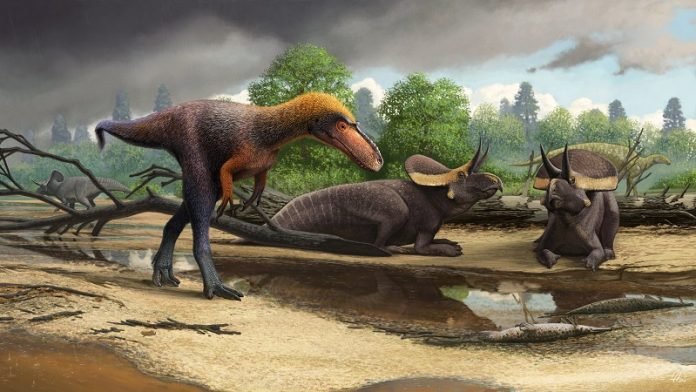 Scientists find a short relative of Tyrannosaurus rex