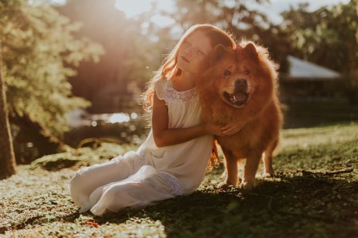 These types of dogs may bite children most