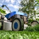 This common weed killer linked to human liver disease