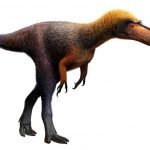 This tyrannosaur relative weighed less than 100 pounds
