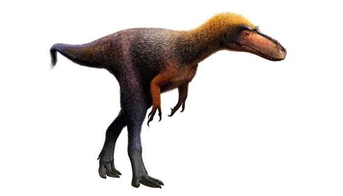 This tyrannosaur relative weighed less than 100 pounds