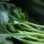 Food high in vitamin K may benefit people with blood clots