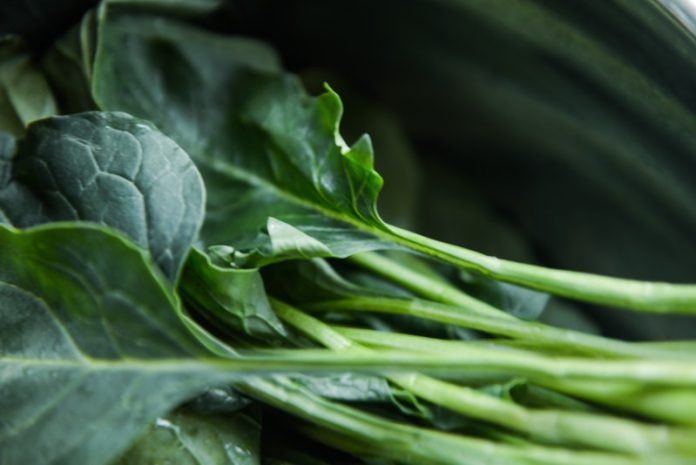 Food high in vitamin K may benefit people with blood clots