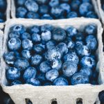 One cup of blue berries a day keeps heart disease at bay