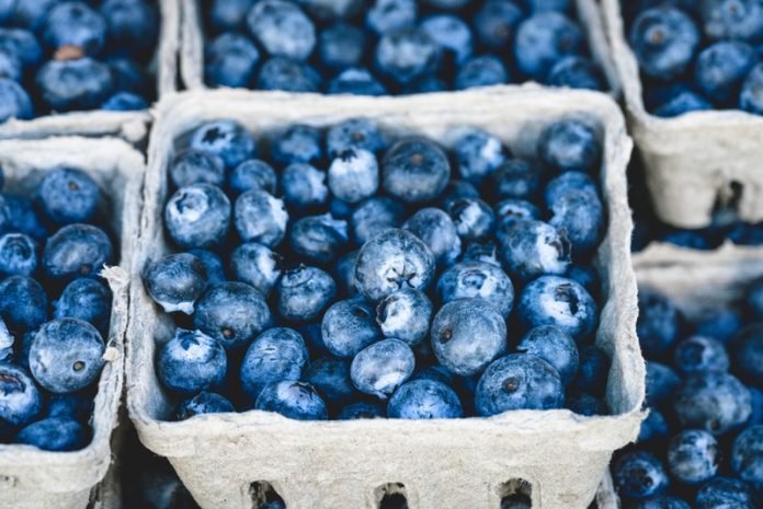 One cup of blue berries a day keeps heart disease at bay