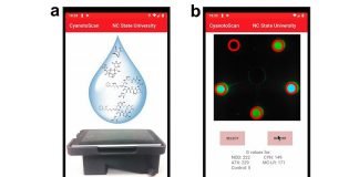 Scientists create first portable tech for detecting cyanotoxins in water