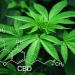 What you need to know about products containing cannabis or CBD