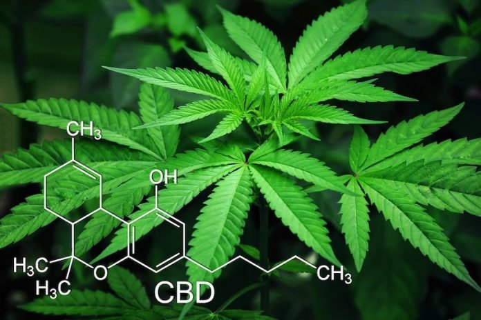 What you need to know about products containing cannabis or CBD