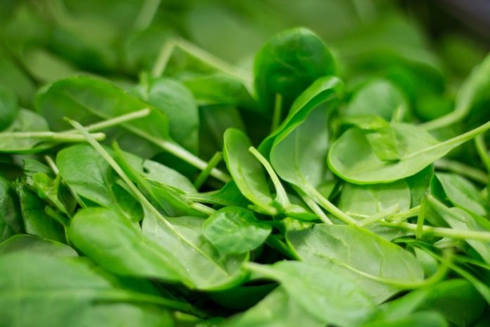 Why women should focus on leafy greens even more after menopause