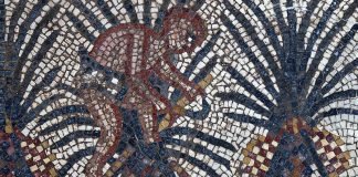 Elim mosaic detail, Huqoq Excavation Project.