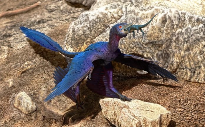 Scientists find new species of lizard in stomach of Microraptor