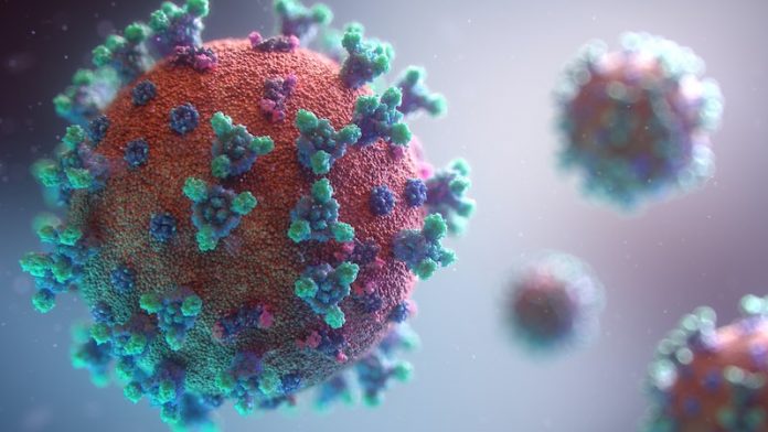 Immune system can be paralyzed in severe COVID-19