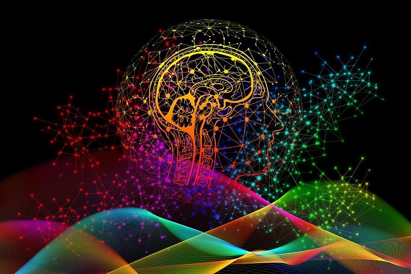 What Happens In The Brain When We Imagine The Future