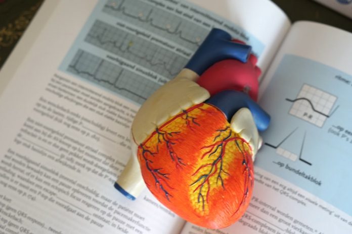 People with heart failure have higher cancer risk