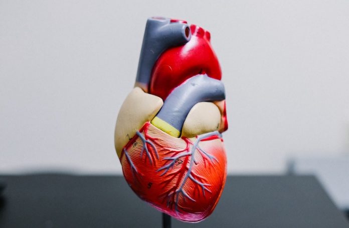 Common causes of heart failure you need to know