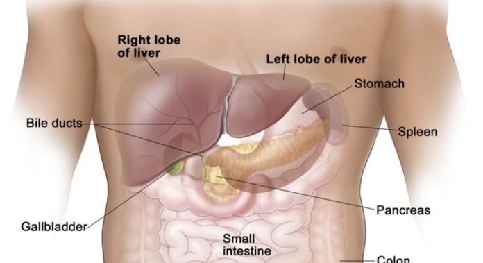 Liver cancer prevention-What you need to know