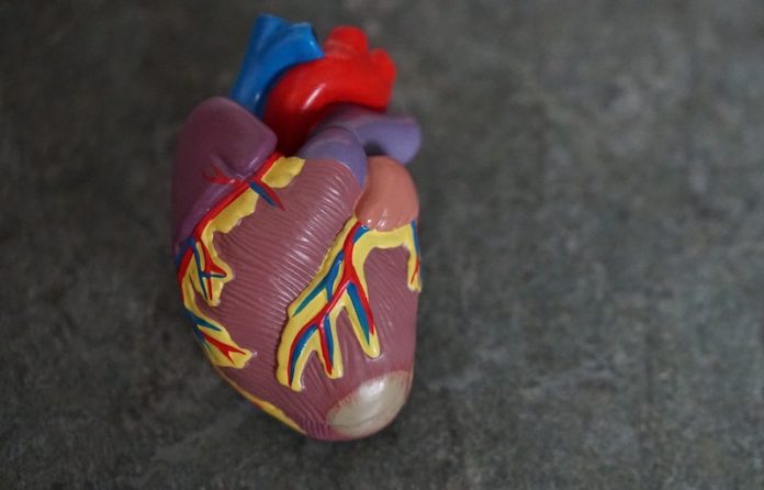 New guidelines for people with early signs of heart failure
